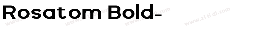 Rosatom Bold字体转换